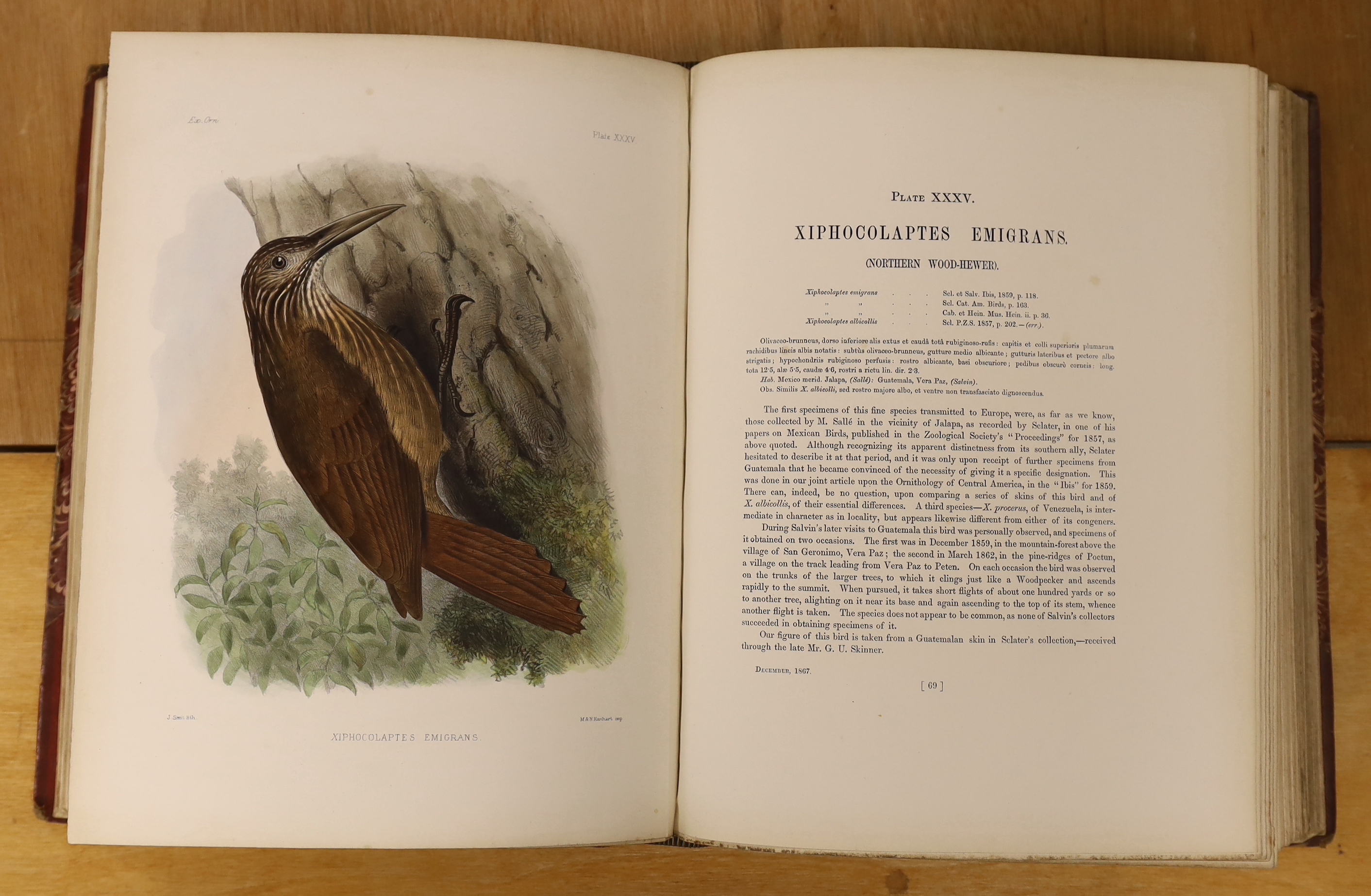 Sclater, Philip Lutley & Salvin, Osbert - Exotic Ornithology, containing Figures and Descriptions of New or Rare Species of American Birds. 100 hand-coloured plates and a few text figures; old red half morocco and marble